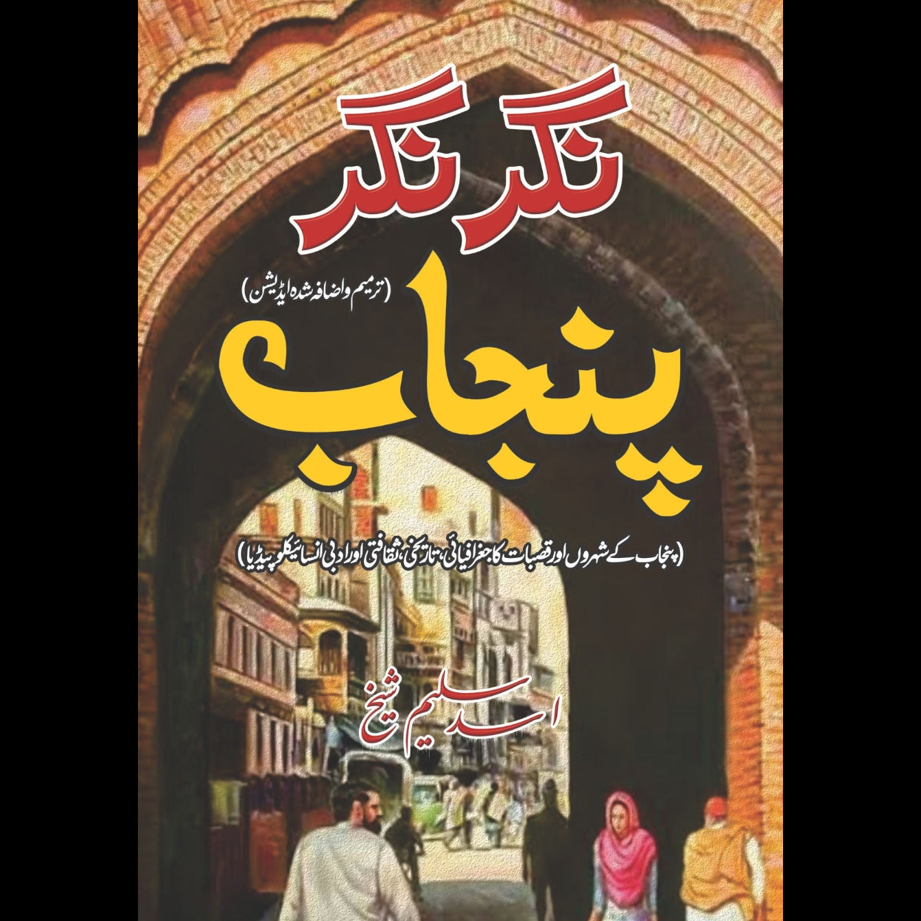 نگر نگر پنجاب | Nagr Nagr Punjab |  اسد سلیم شیخ